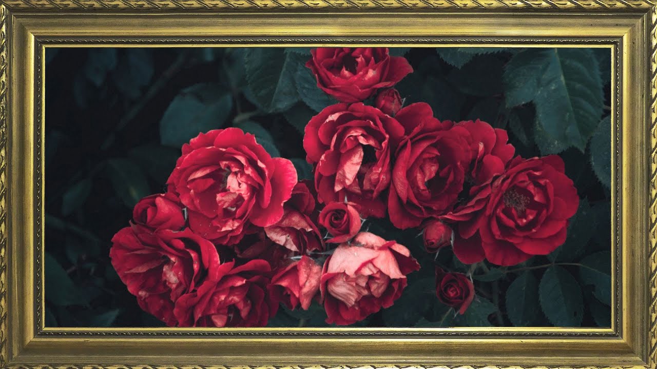 TV WALLPAPER | FRAMED PAINTING