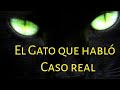 Casos de terror el gato que habló