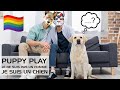 Puppy play  ces hommes qui vivent comme des chiens reupload 3