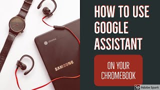 How to Use Google Assistant on Chromebooks