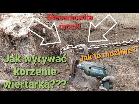 Wideo: Jak Wyrywać Pień Drzewa? Zrób To Sam Wykorzenienie W Kraju Za Pomocą Traktora I Koparki. Jak Szybko Usunąć Kikut W Obszarze Za Pomocą Wciągarki?