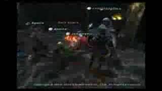 Silverbacks LS Video