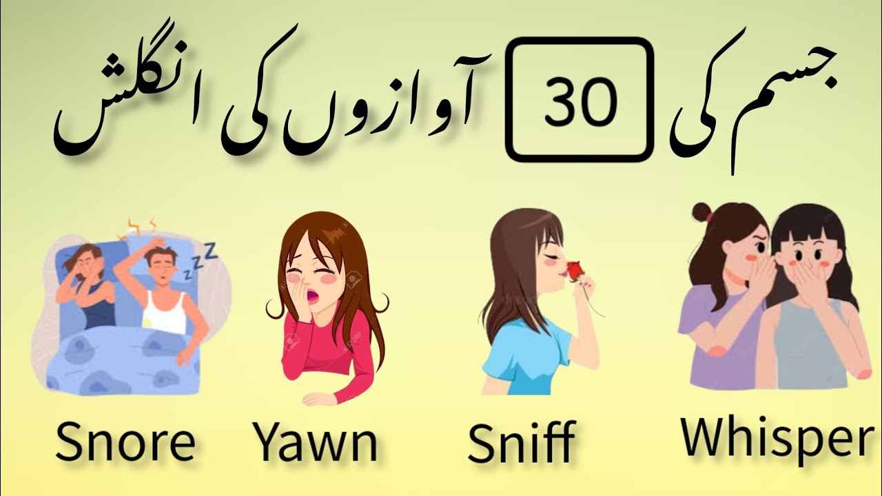 30 Body sound in English with meaning in Urdu body sounds ke English