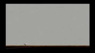 maya tornado