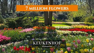 Keukenhof  7 Million Flowers  Full Tour of Keukenhof Gardens