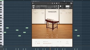 Yangqin Free Kontakt Library By Native Instruments