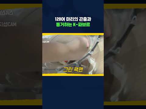 없는 곤충 찾기가 더 힘든 K-<strong>파브르의</strong> 집 #말벌 #shorts #스브스뉴스