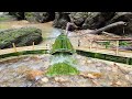 How to fish using ancient methods
