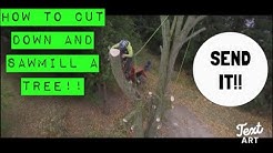 JL's Tree Service 2017 Promo Video