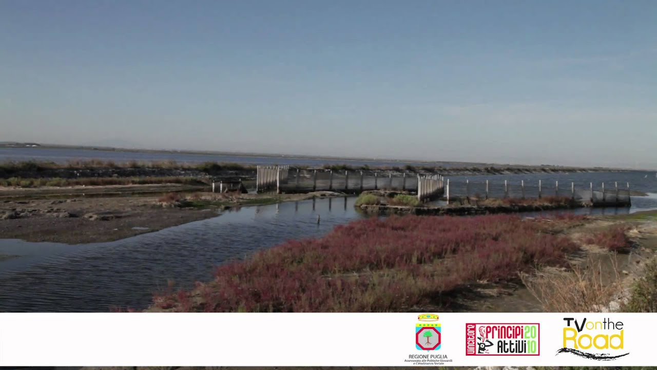 Riserva naturale: la Salina di Margherita di Savoia