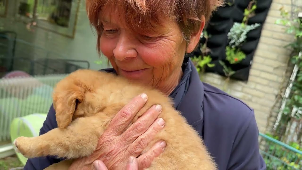 Natuurlijk spelen met je pup (Spelenderwijs leren)