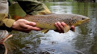Gone Fishing