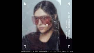 Charlotte de Witte - Universal consciousness (Original mix)