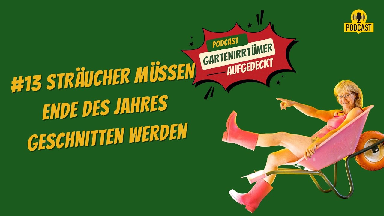 Sein Werden Fark