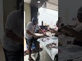 Formando aorea
