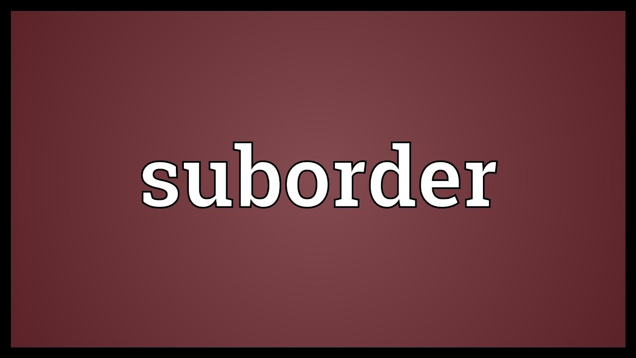 Suborder Meaning YouTube
