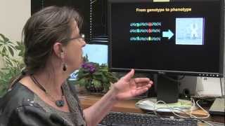 Computational Biology: From Genotype to Phenotype - Teresa Przytycka, NIH Scientist