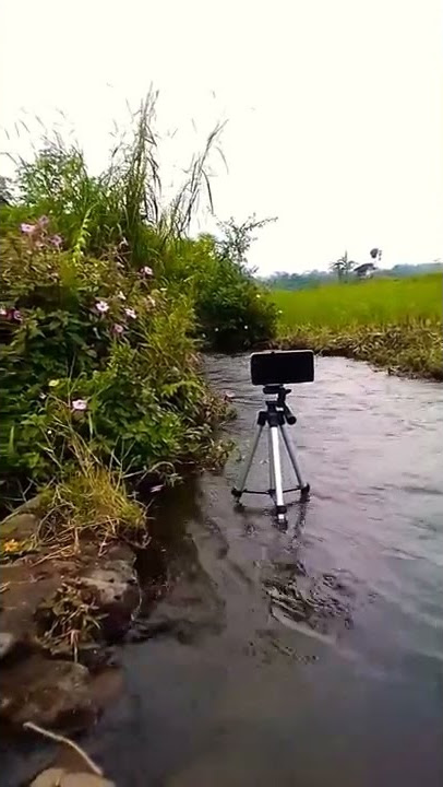 Mancing Kahanan@mico cw