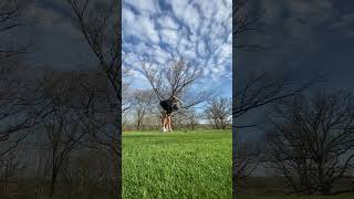 Big Run Country Club