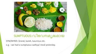 Word of the day: Sumptuous