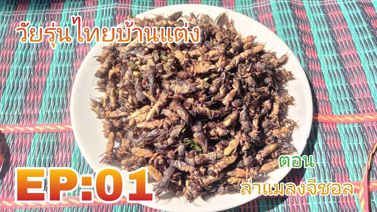 บาสวัยรุ่นไทยบ้านแต่ง EP:01 ตอน ล่าแมลงจีชอล