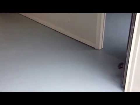 H C Concrete Stain Interior House Painting Youtube