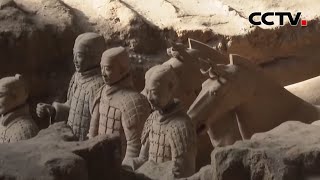 秦始皇帝陵木质建筑用材之谜揭晓 | CCTV中文《新闻直播间》