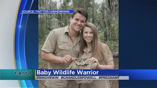 Trending: Bindi Irwin