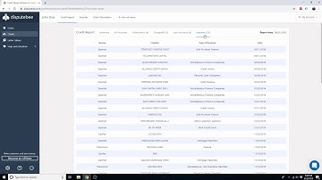 DisputeBee Business Plan - Getting Started