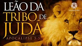 O LEÃO DA TRIBO DE JUDÁ | Apocalipse 5:5 |