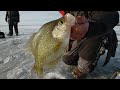 How to Catch Pressured Bluegills and Crappies in Southern Wisconsin - S14 E7