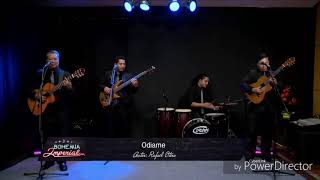 Video thumbnail of "Ódiame - los tres reyes"