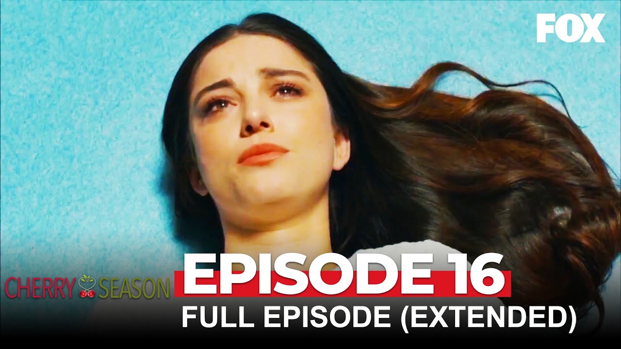 Cherry Season Episode 16 (Extended Version) YouTube