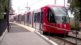 Dulwich Hill Tram Traffic Priority Sydney