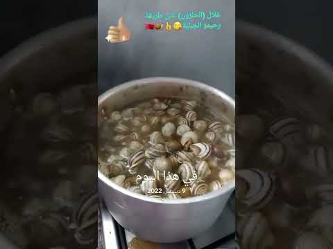 عشاق ببوش وأغلى اللي عايز اكسبلور الوصفه يدخلني قناه سعد 9ابريل