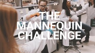 Earlham Institute Does The Mannequin Challenge
