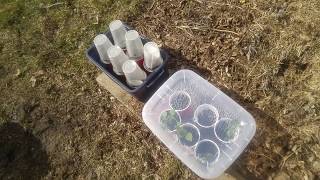 Tour of the Early Spring Garden 2019