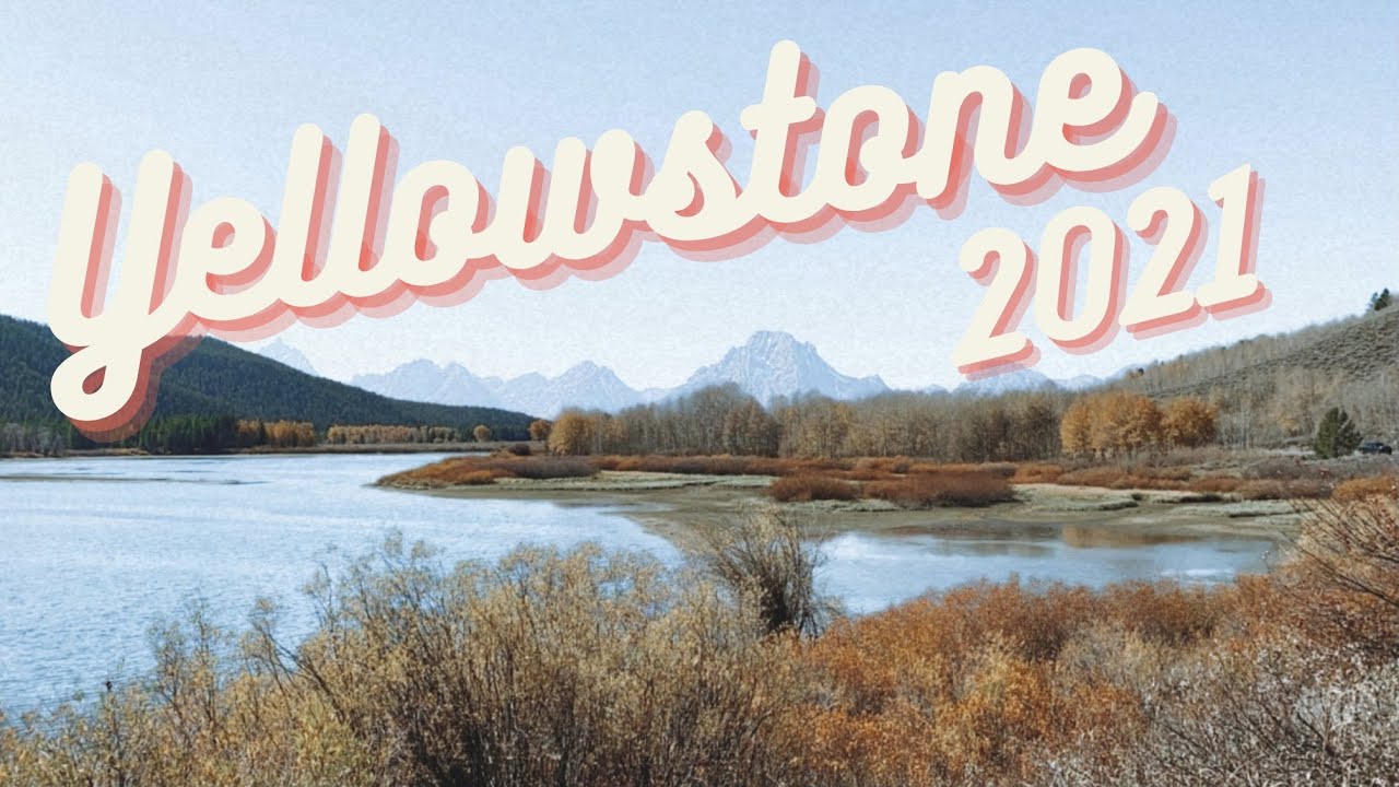 Yellowstone 2021 | Buckley's Videography