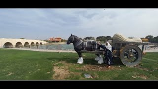 يومياتي في الغربة جولة في أسباير بارك  Aspire Park