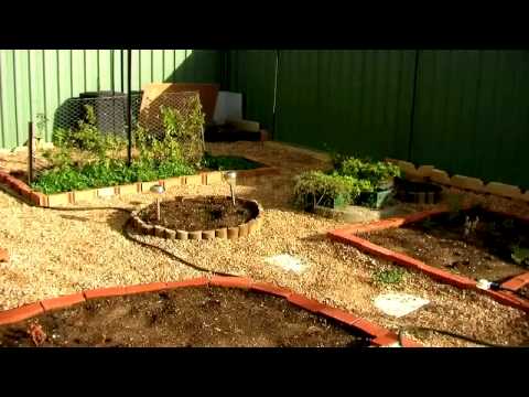 Autumn Garden Review 3 - Back And Side Gardens (Ap...