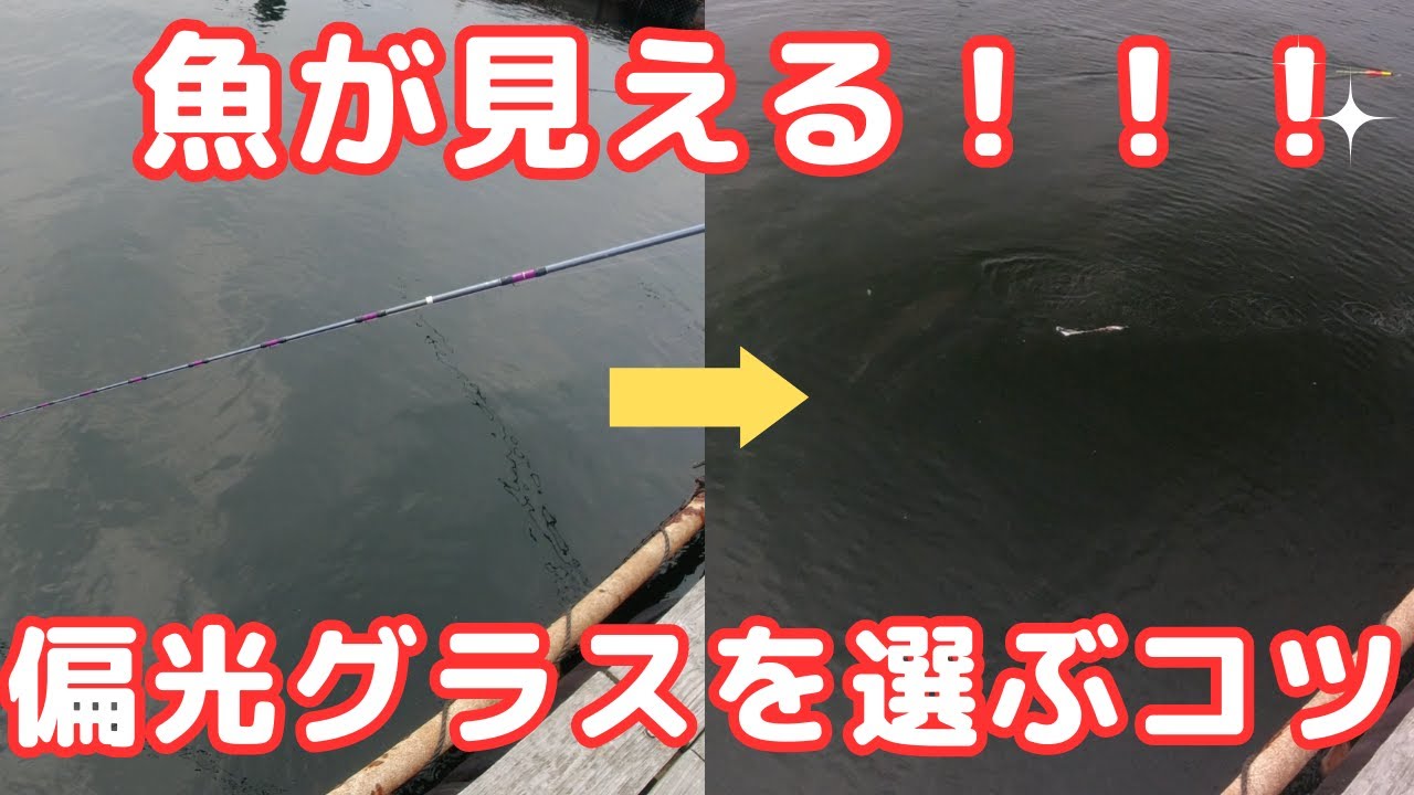 初心者向け】釣り偏光グラスの選び方【水面の比較動画付き】 - YouTube