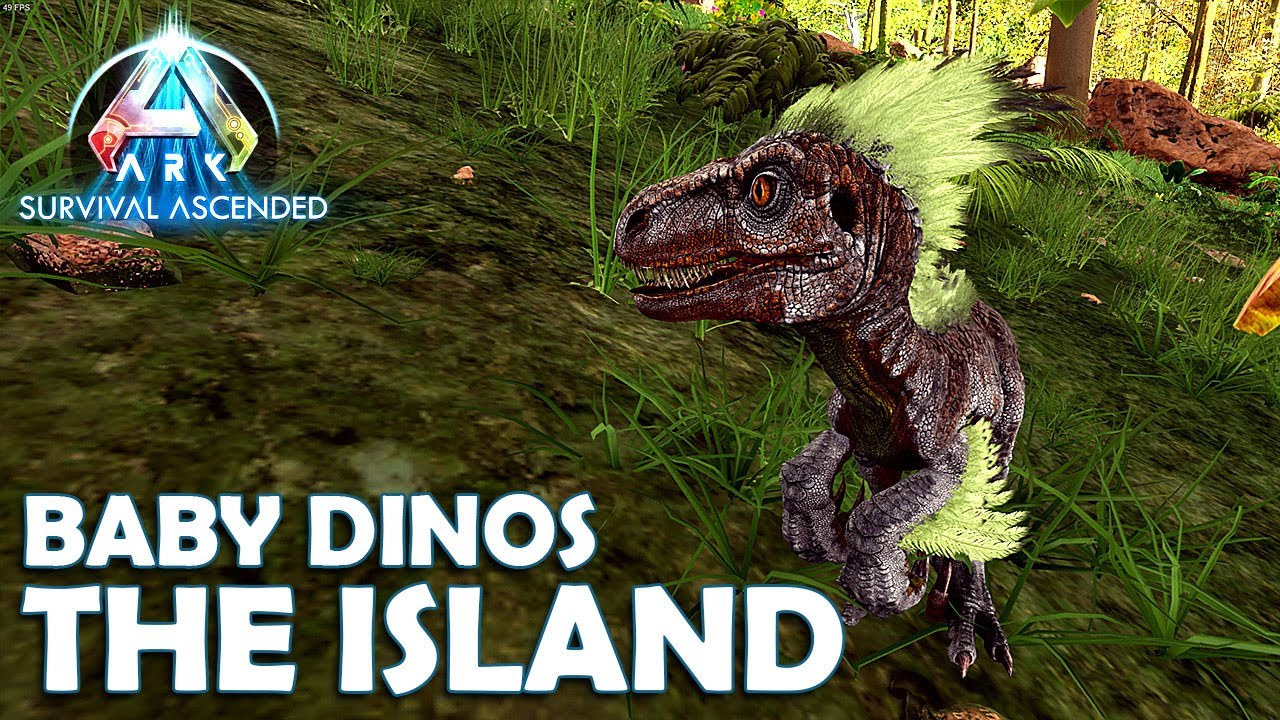 Baby Raptor Ase Cutest Baby Raptor in the World | Ark Survival Ascended | S1 EP6 - YouTube
