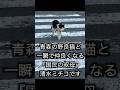 青森の野良猫と一瞬で仲良くなる『国民の叔母』清水ミチコです