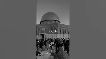 كبروا الله اكبر أرفعوها باللواء فلسطين 