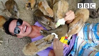 Why is this island chock full of rabbits? 🐇🐇🐇 - BBC