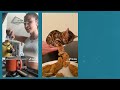 Attenzione Pickpocket! The TikTok Sound Turning Warnings Into Viral Gold | That One Sound