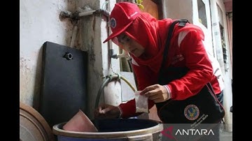 Cegah DBD di Kantor dan Sekolah: Bentuk Jumantik Mandiri!
