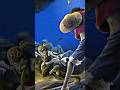 🇧🇷 EU SEI COMO TE DERROTAR… #anime #animeshorts #animes #onepiece #luffy #monkeydluffy #nami #zoro