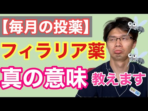 犬・猫のフィラリア予防薬の選び方｜種類別のメリットと失敗しないコツ
