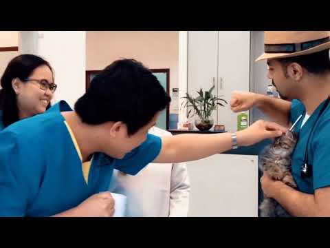 مع الدكتور هاشم في عيادة بيت الطب البيطري